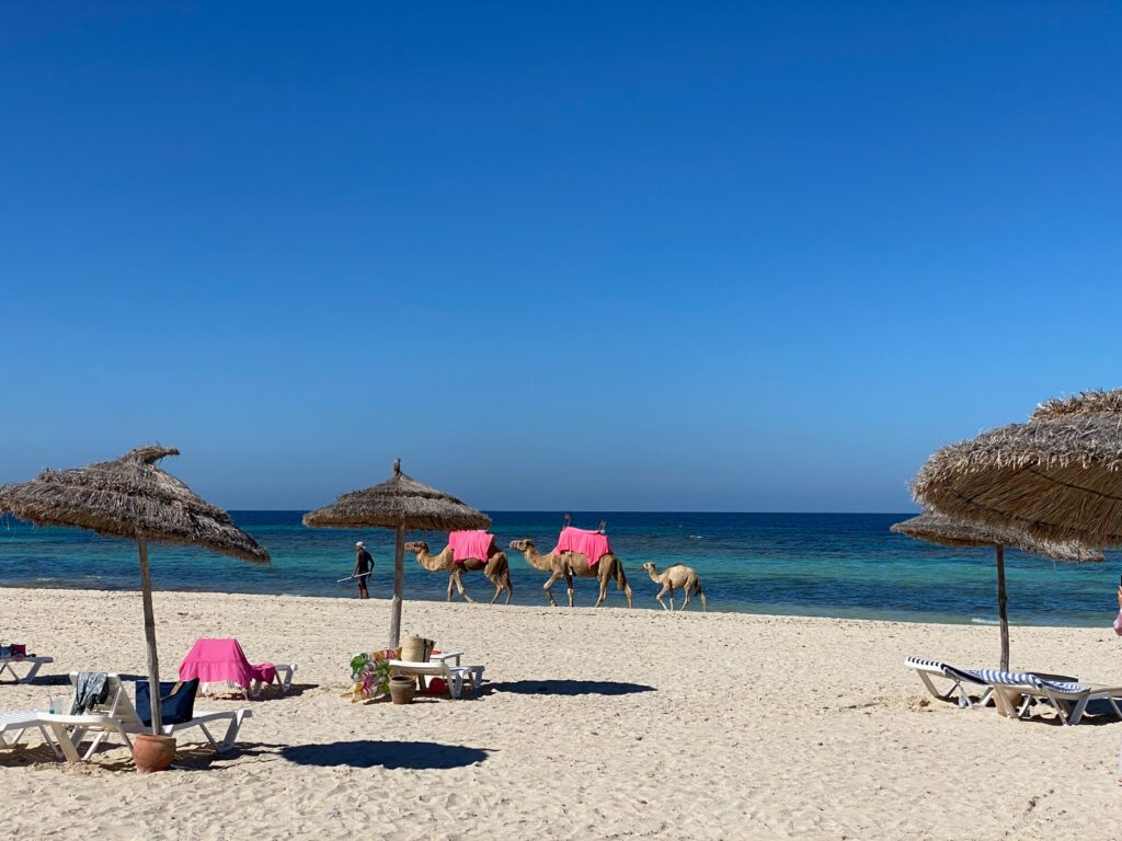 wakacje w tunezji w sierpniu, gdzie na wakacje w sierpniu, wakacje w sierpniu bez upałów