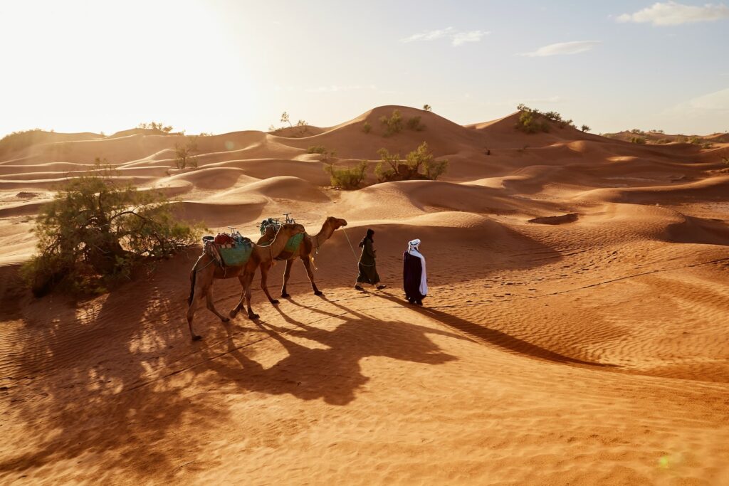 Oman wakacje w grudniu