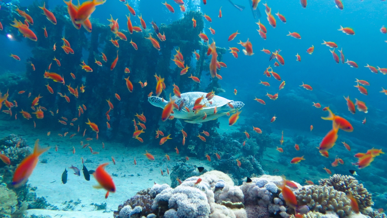 Hurghada