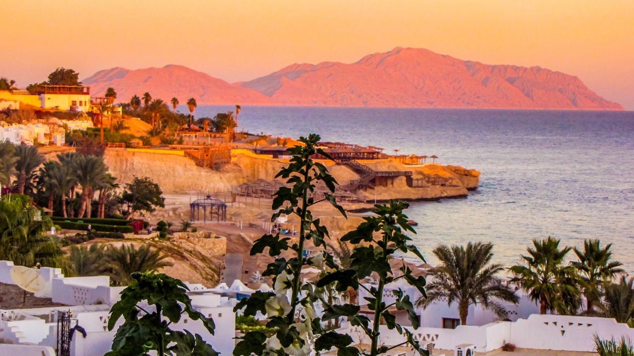 Sharm el Sheikh – raj dla nurków i luksusu