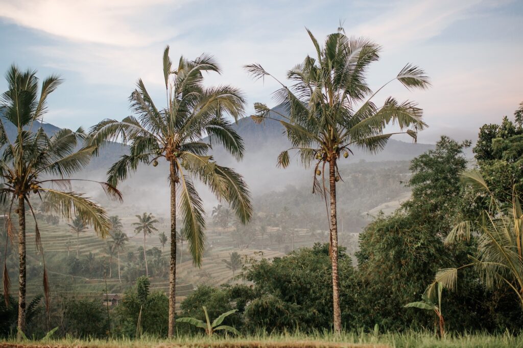 bali pogoda, bali wakacje, bali kiedy lecieć, bali atrakcje