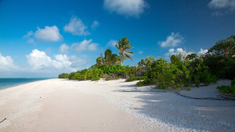 Gaafu Atol – pogoda. 🇲🇻 Sprawdź, kiedy jechać na wakacje do Gaafu Atol