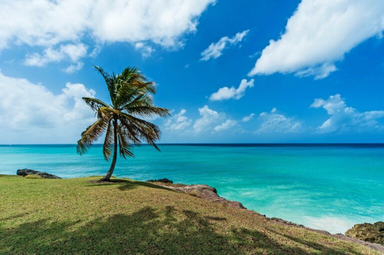 Barbados – pogoda. 🇧🇧 Sprawdź, kiedy jechać na wakacje na Barbados