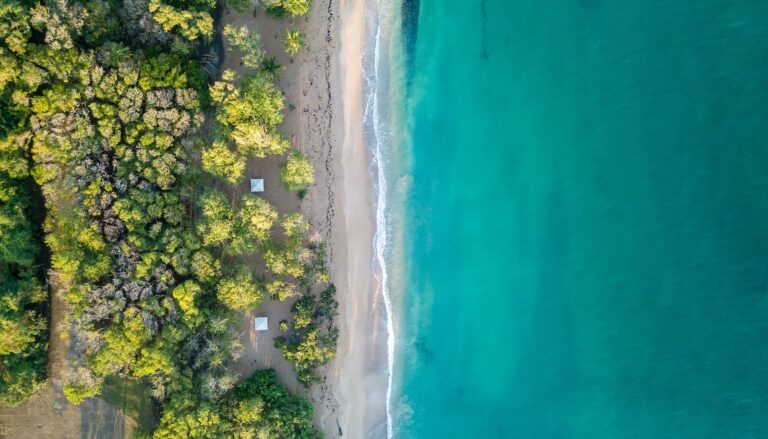 Gwadelupa – pogoda. 🇬🇵 Sprawdź, kiedy jechać na wakacje do Gwadelupy