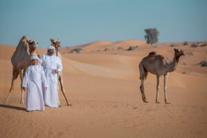 Ras Al Khaimah – pogoda. 🇦🇪 Sprawdź, kiedy jechać na wakacje do Ras Al Khaimah