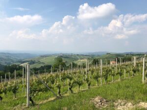 Piemont – pogoda. 🇮🇹 Sprawdź, kiedy jechać na wakacje do Piemont