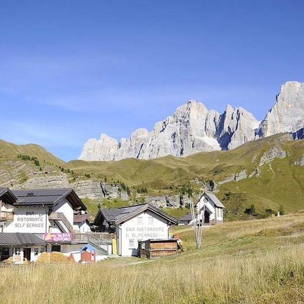 Opinie o Alpenrose (Passo Rolle)