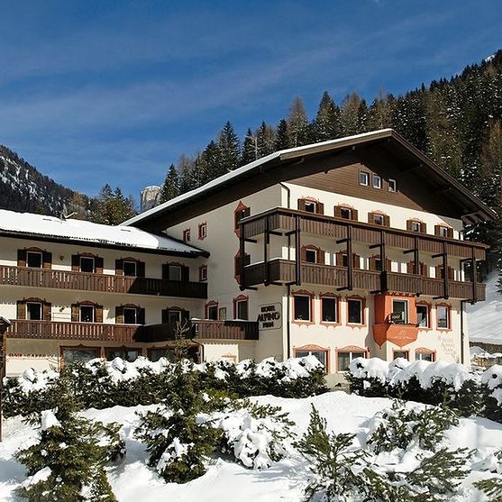Wakacje w Hotelu Alpino Plan Włochy