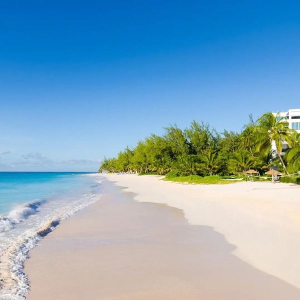 Hotel Bougainvillea Beach Resort w Barbados
