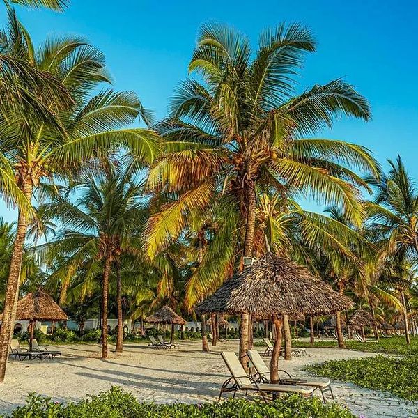 Hotel Breezes Beach Club w Tanzania