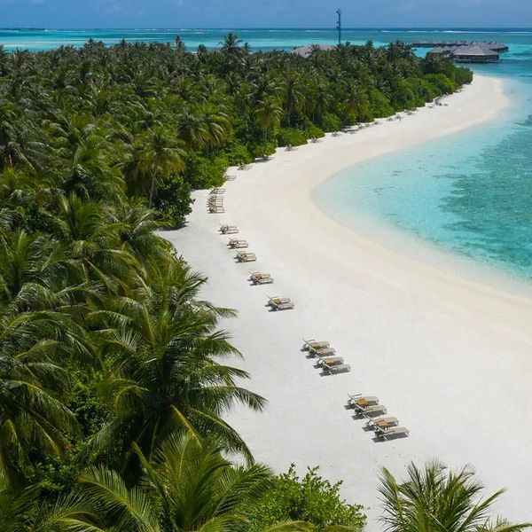 Opinie o Cocoon Maldives
