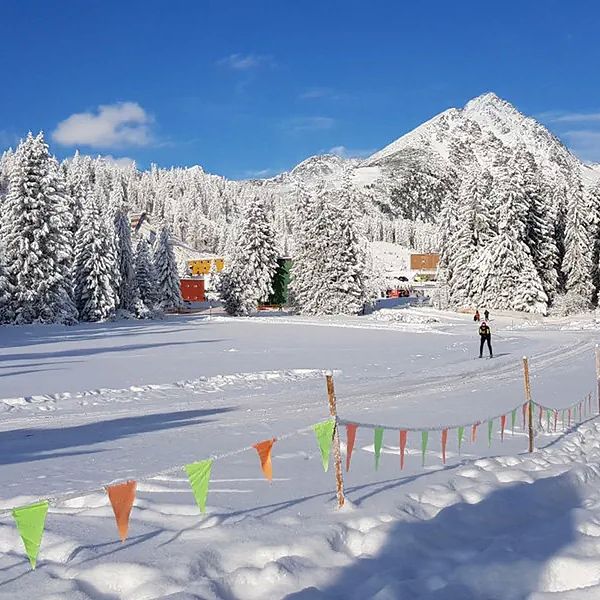 Crocus-Strbske-Pleso-odkryjwakacje-4