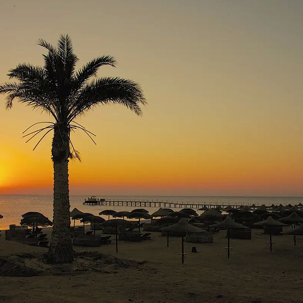 Hotel Gorgonia Beach w Egipt