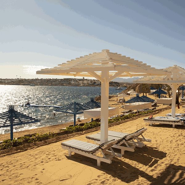 Hotel Grand Oasis Resort (ex Tropicana Grand Oasis) w Egipt