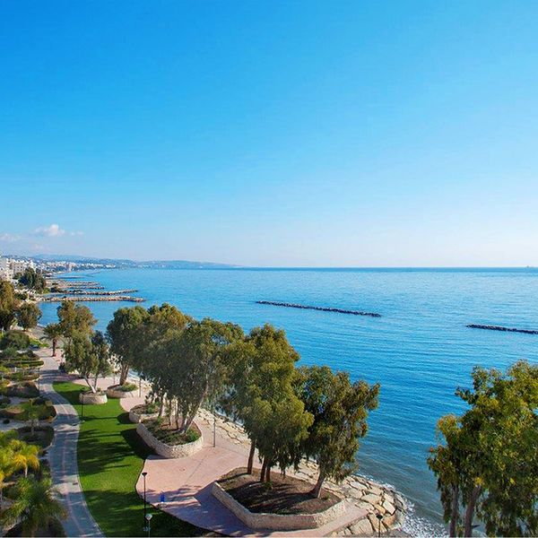 Opinie o Harmony Bay (Limassol)
