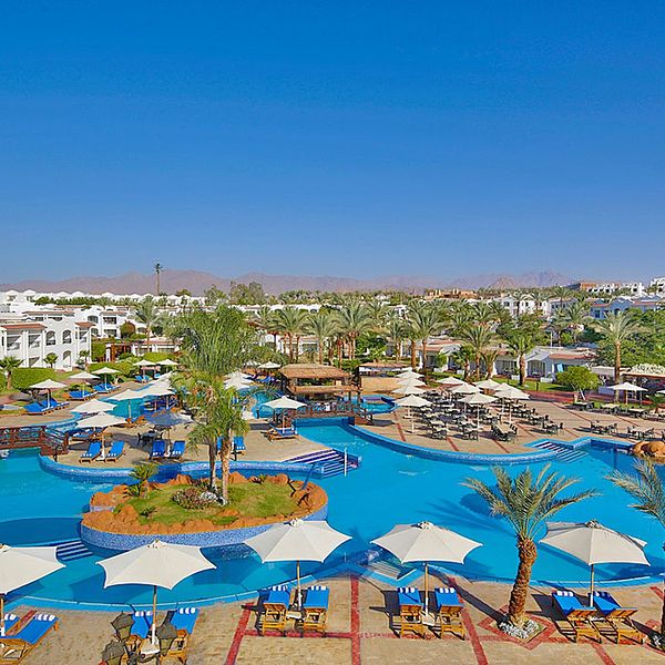 Opinie o Jaz Sharm Dreams Resort (ex. Sharm Dreams Resort)