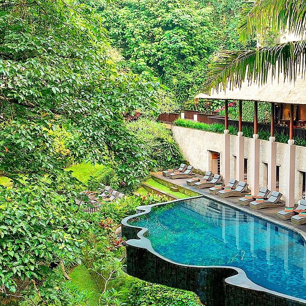 Opinie o Maya Ubud Resort