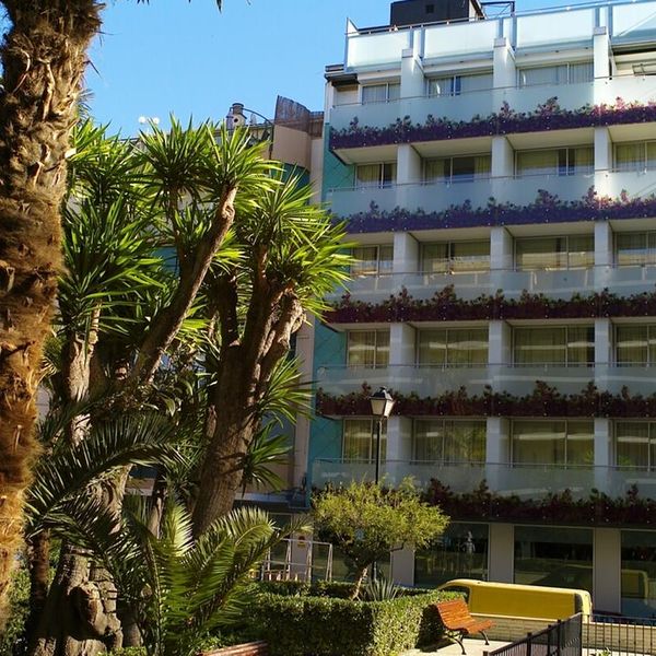 Wakacje w Hotelu Oasis Plaza (Benidorm) Hiszpania