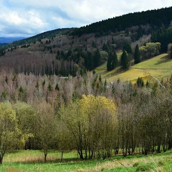 Hotel Pytloun Hasistejn w Czechy