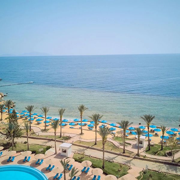 Opinie o Royal Grand Sharm Resort