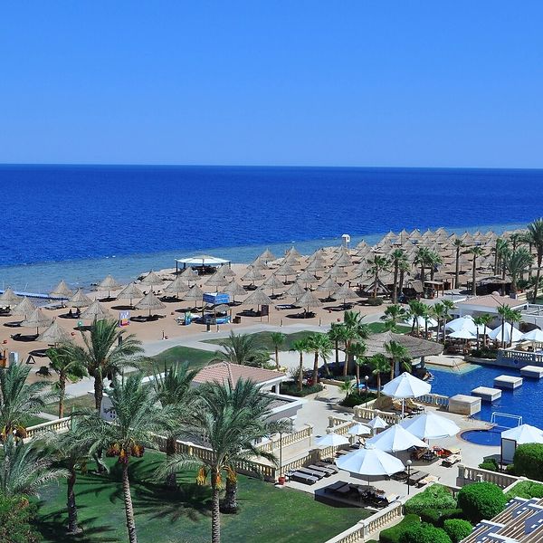 Opinie o Sheraton Sharm Resort