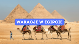 Wakacje Egipt 🇪🇬