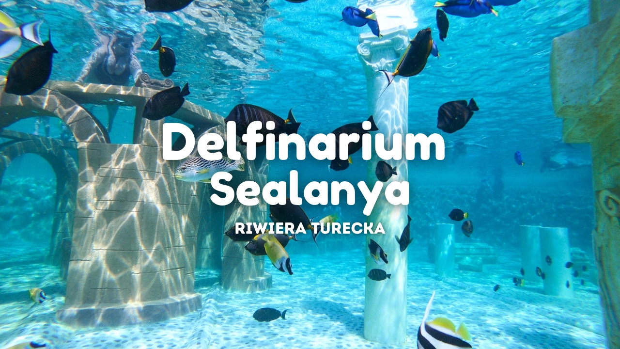 Delfinarium Sealanya wycieczka, Sealanya Dolphinpark Seapark wycieczka
