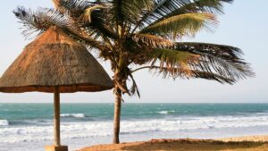 Egzotyczne Wakacje All Inclusive w Gambii. Sprawdź dostępne oferty rajskich wczasów.