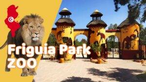 Zoo Friguia Park w Tunezji – atrakcje, zwiedzanie, wycieczki fakultatywne 🇹🇳