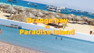 Która plaża jest najlepsza? Orange Bay czy Paradise Island w Egipcie?