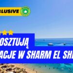 Ile kosztują wakacje w Sharm el Sheikh?