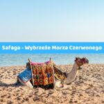 Safaga – Wybrzeże Morza Czerwonego