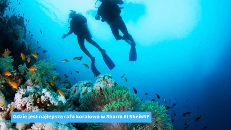 Gdzie jest najlepsza rafa koralowa w Sharm El Sheikh?