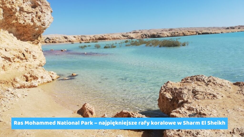 Ras Mohammed National Park – najpiękniejsze rafy koralowe w Sharm El Sheikh