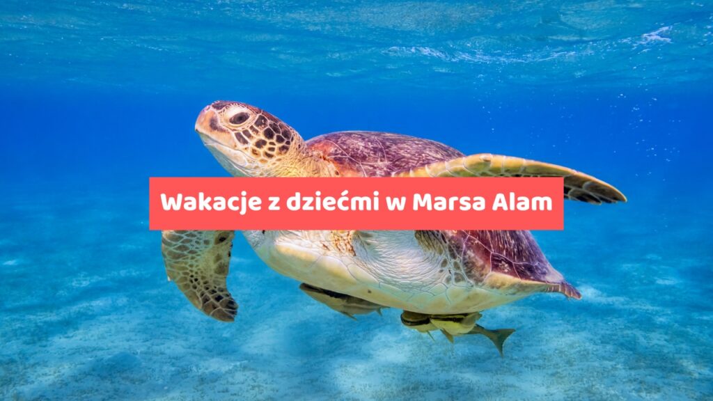 Wakacje z dziećmi w Marsa Alam