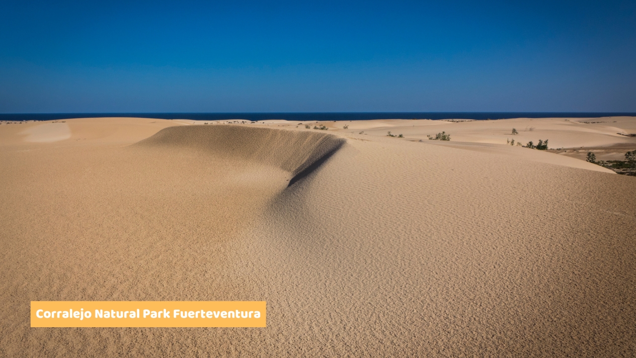 Corralejo Natural Park Fuerteventura