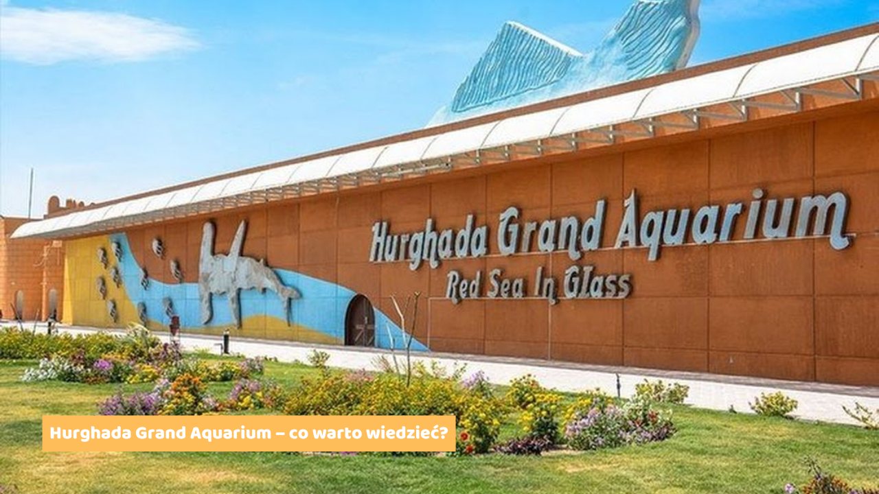 Hurghada Grand Aquarium – co warto wiedzieć