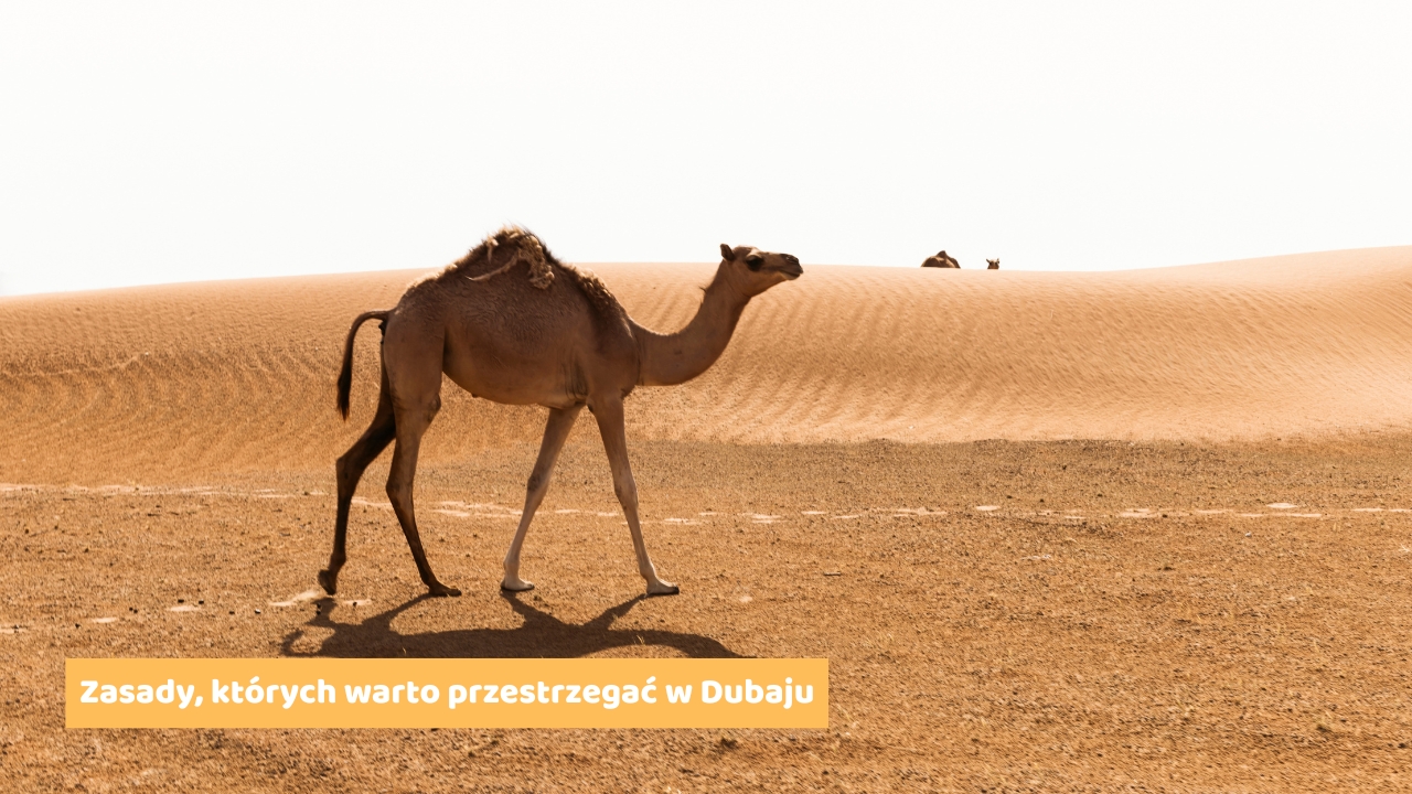 Zasady, których warto przestrzegać w Dubaju