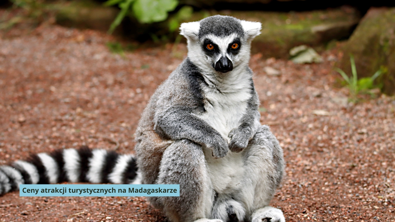 Ceny atrakcji turystycznych na Madagaskarze