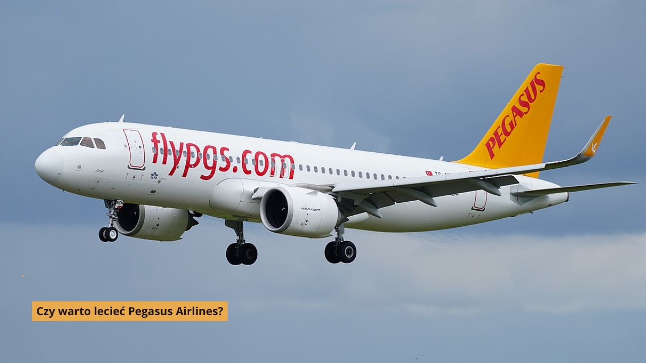 Czy warto lecieć Pegasus Airlines?
