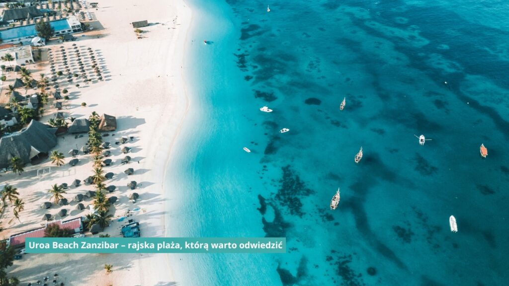 Uroa Beach Zanzibar – rajska plaża, którą warto odwiedzić