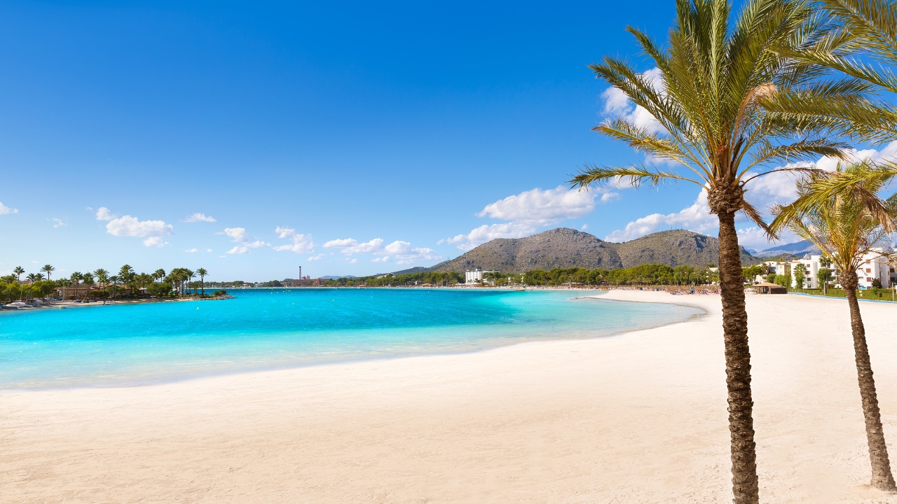 Gdzie znajduje się plaża Alcudia Beach?