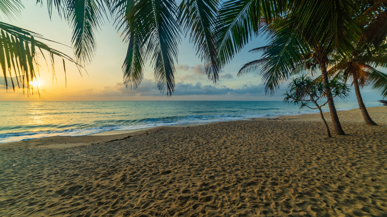 Gdzie znajduje się plaża Lamai Beach?