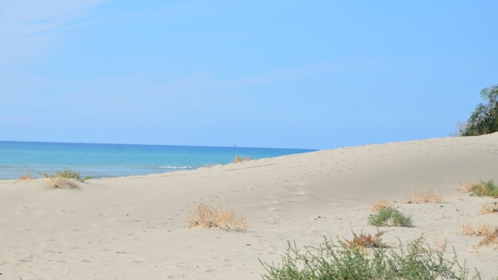 Plaża Patara Beach w Turcji – co warto wiedzieć?
