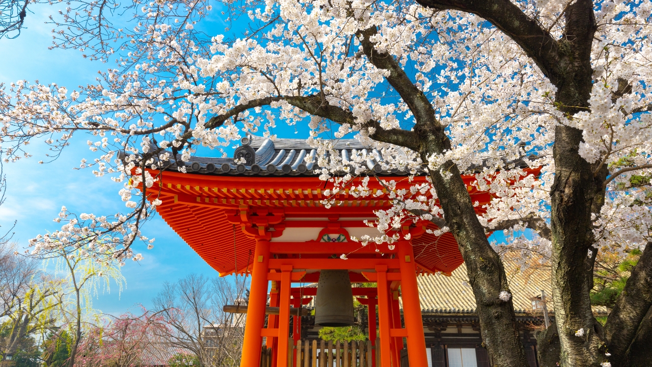Ceny atrakcji turystycznych w Japonii