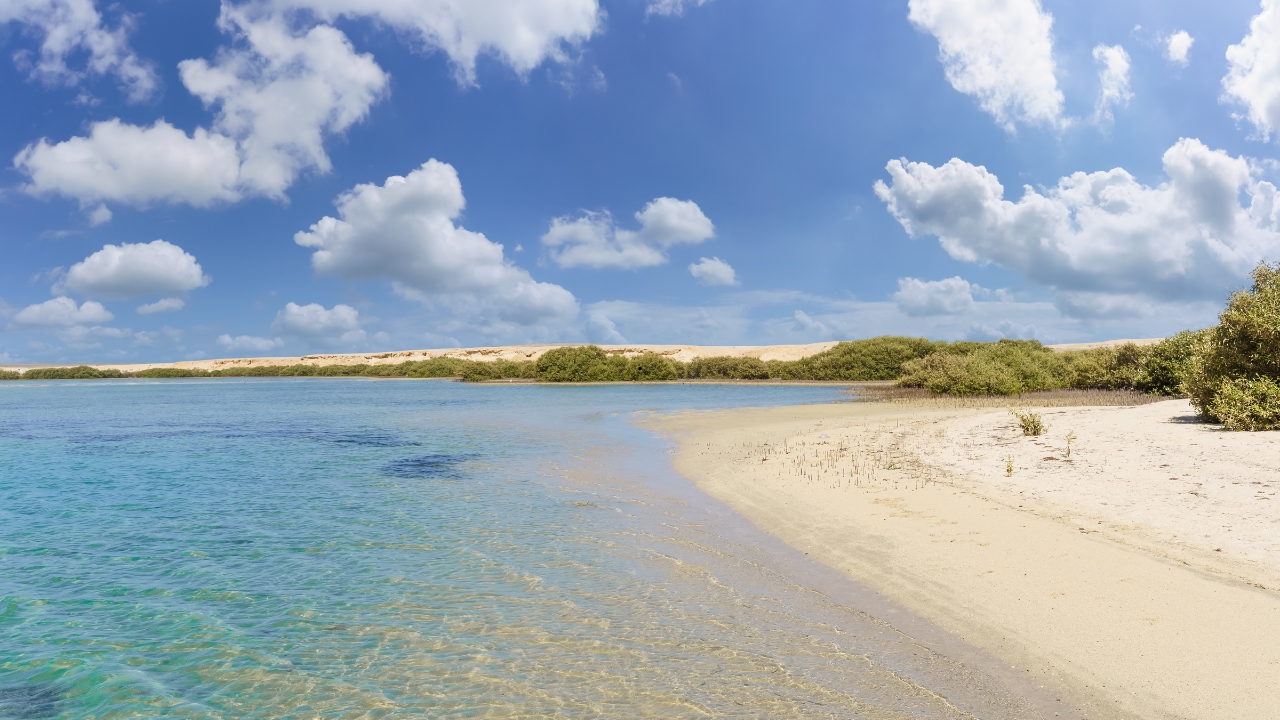 Ceny atrakcji turystycznych w Marsa Alam