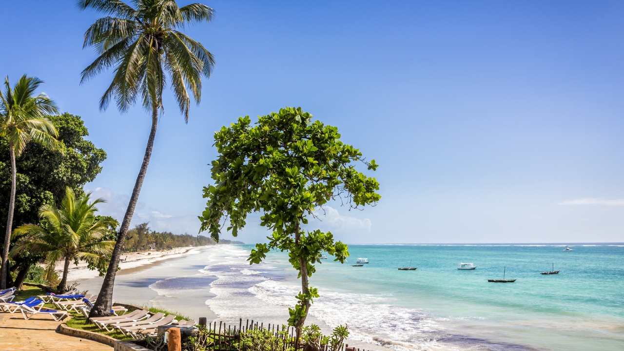 Gdzie znajduje się plaża Diani Beach?