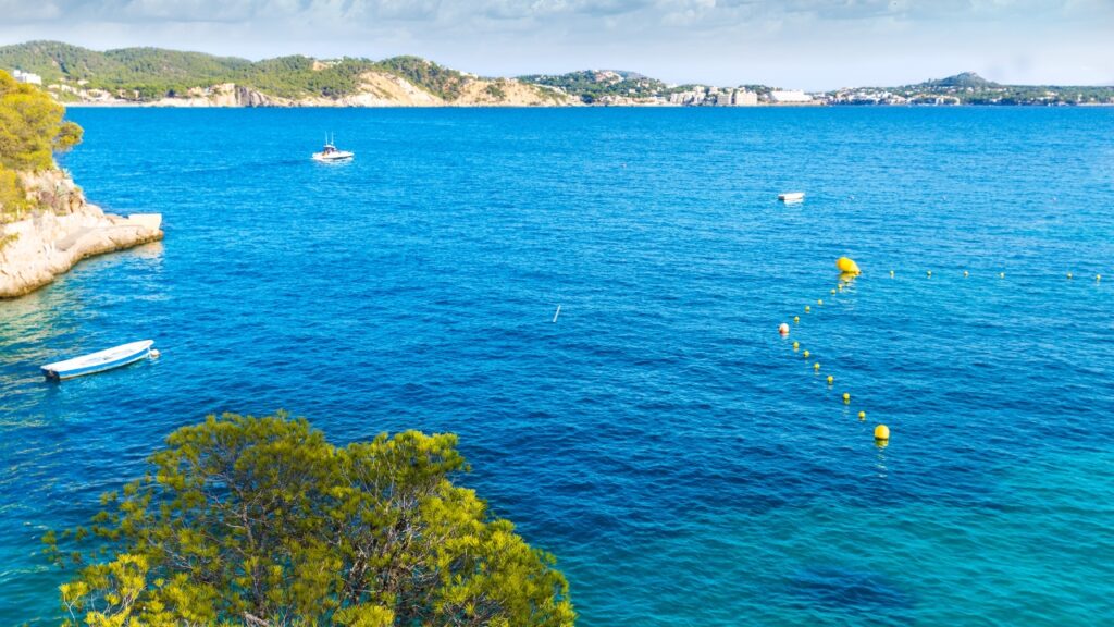 Plaża Cala Fornells na Majorce – co warto wiedzieć?