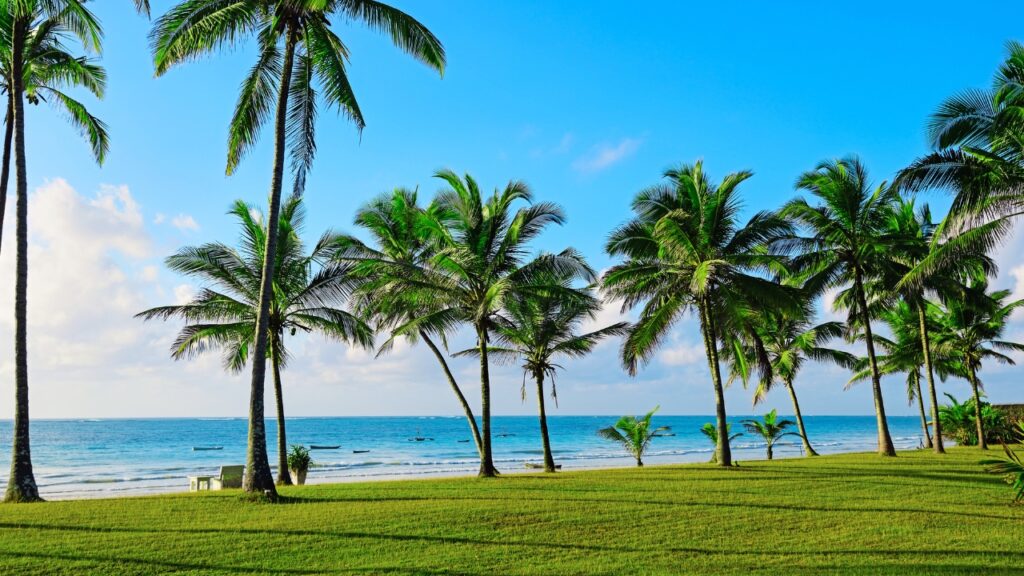 Plaża Diani Beach w Kenii – co warto wiedzieć? Najważniejsze informacje.