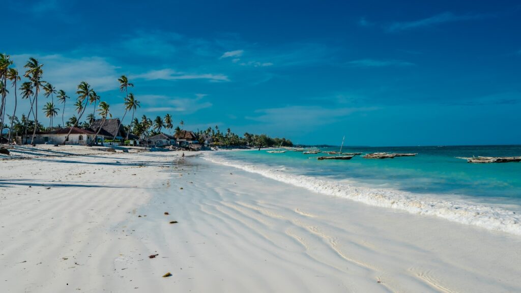 Plaża Jambiani na Zanzibarze – co warto wiedzieć? Najważniejsze informacje